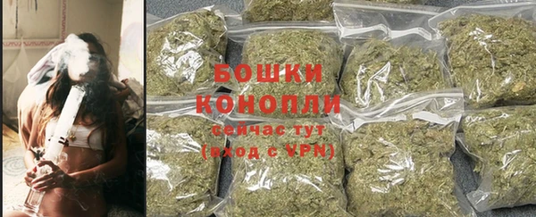 сатива Бугульма