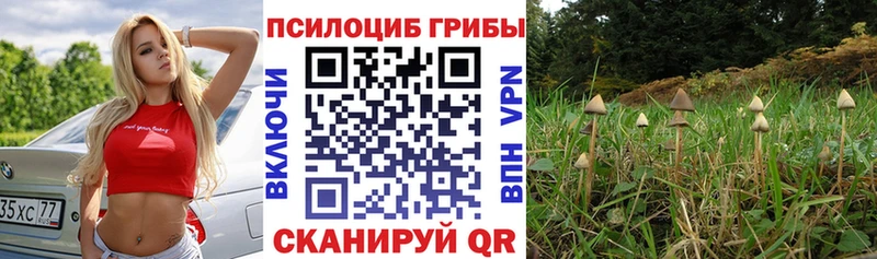 Псилоцибиновые грибы Magic Shrooms  Купить закладки  Вытегра 
